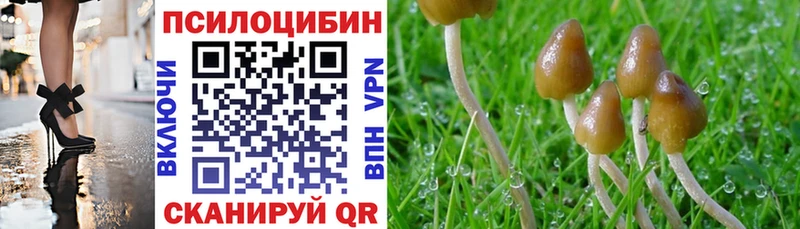Галлюциногенные грибы прущие грибы Городище